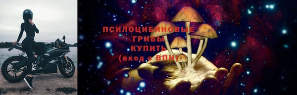 a pvp Белоозёрский