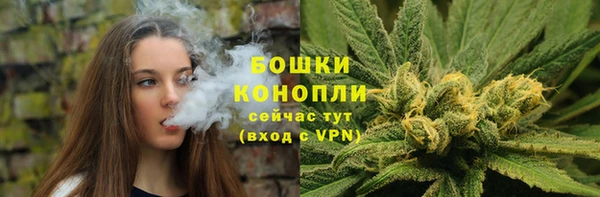 винт Бородино